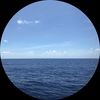 watersedge10